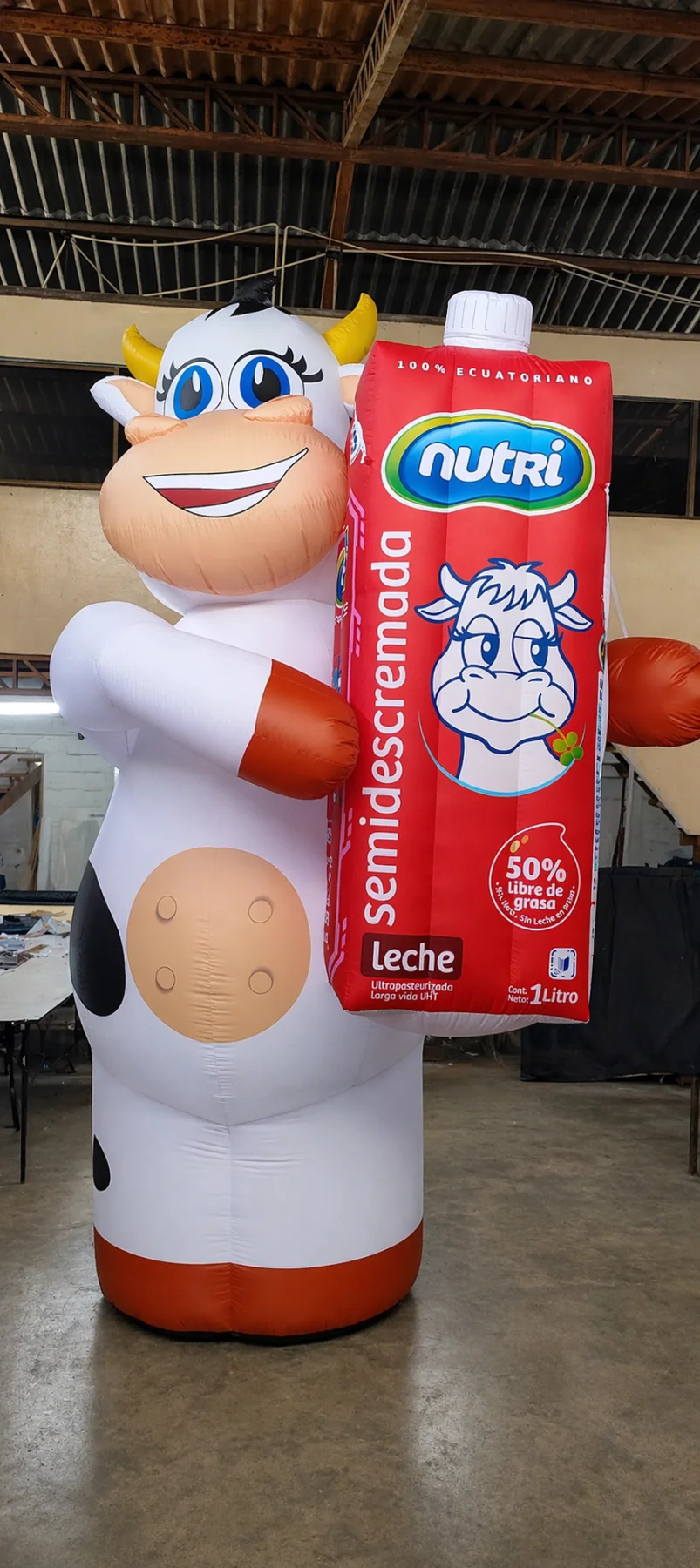 Proyecto figura inflable 3D 4